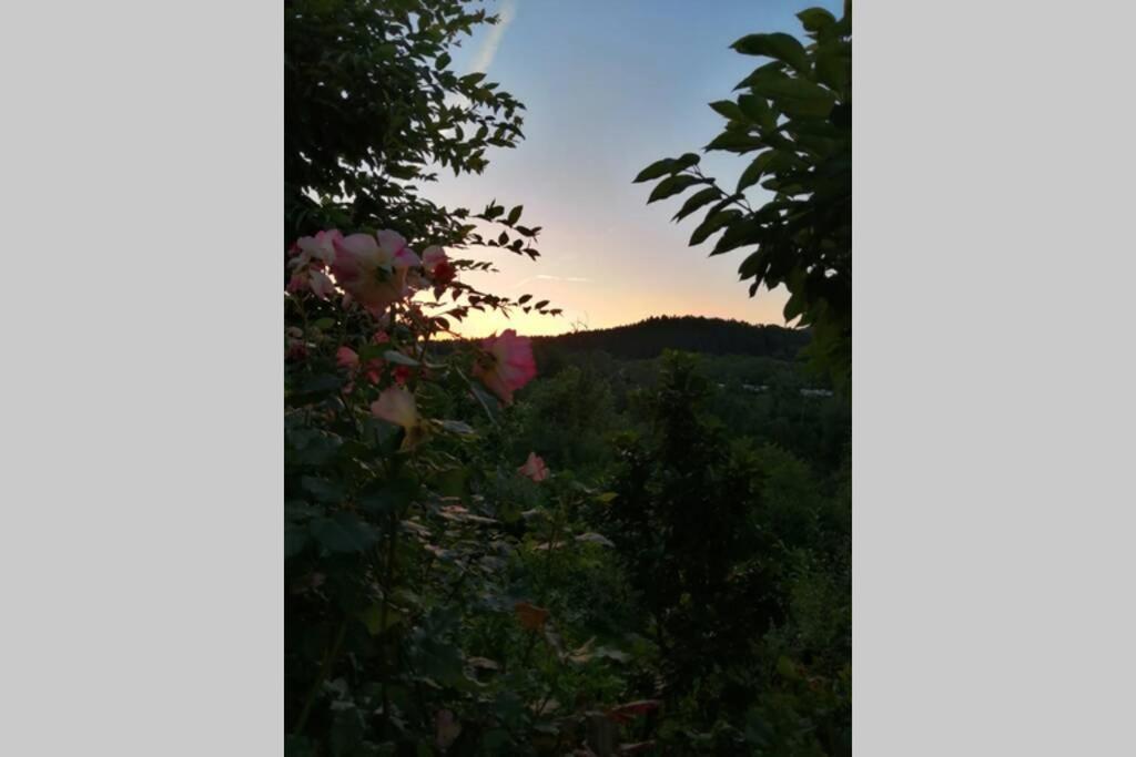 Nachhaltiges Wohnen In Seenaehe Schoemberg  エクステリア 写真